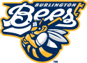 Burlington-Bees-2012